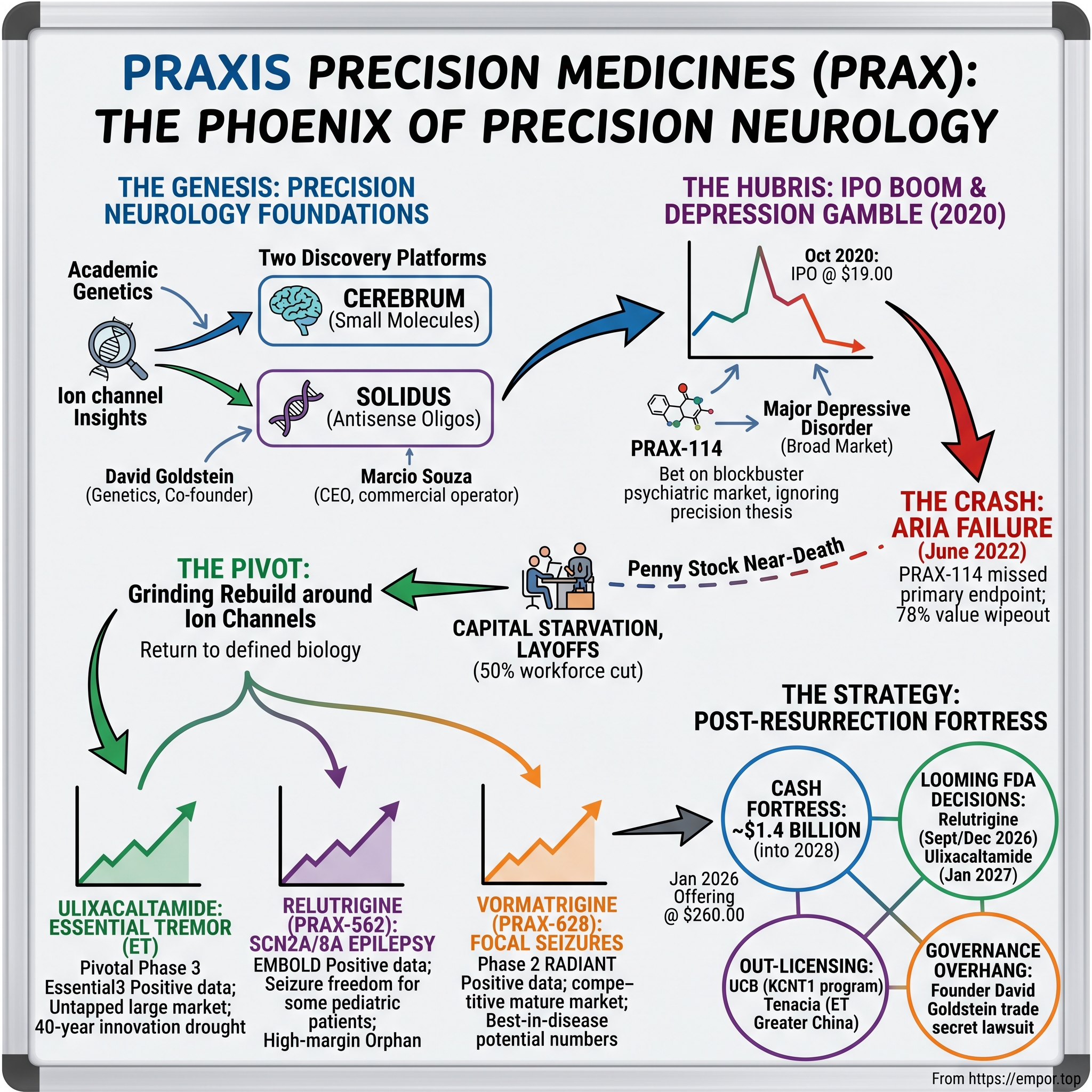 Praxis Precision Medicines visual story map